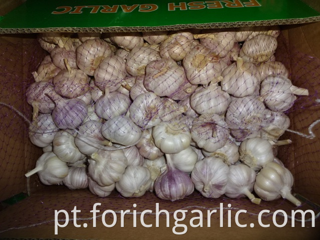 Different Sizes Normal Garlic 2019